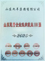 山东九羊集团有限公司2025年度山东民营企业吸纳就业100强