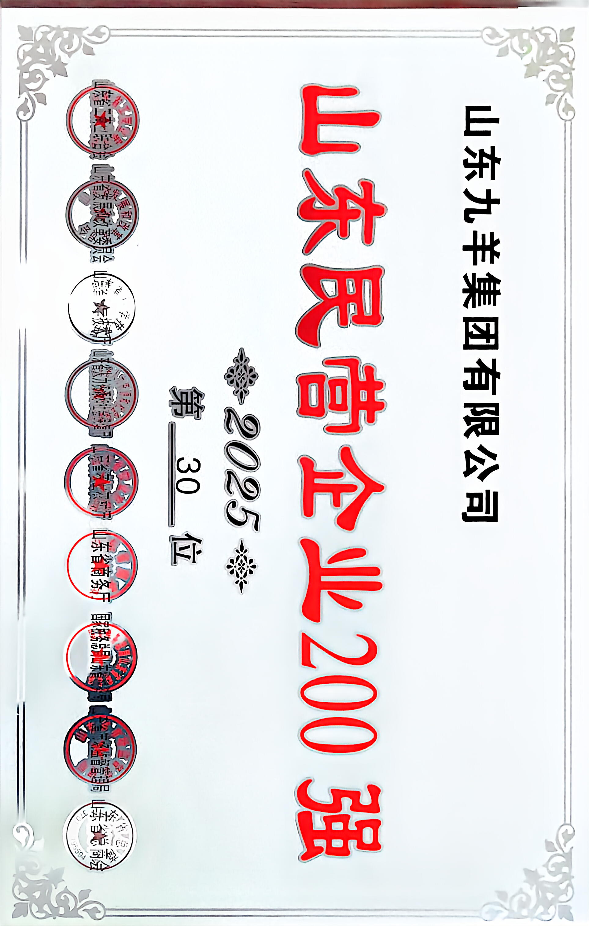 山东九羊集团有限公司2025年度山东民营企业200强 第30名