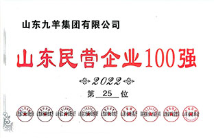 山东民营企业100强第25位 22年度