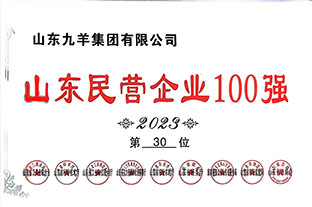 山东民营企业100强第30位 23年度