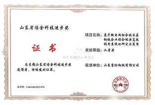 冶金科技进步奖（二等奖）