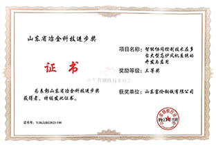 冶金科技进步奖（三等奖）